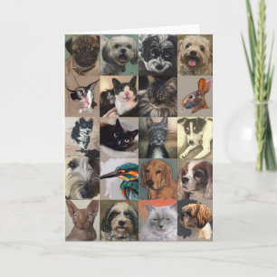 Tarjeta de felicitación del perro y del gato