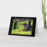 Tarjeta de felicitación del Pinscher del Doberman