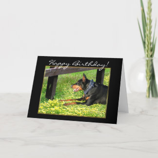Tarjeta de felicitación del Pinscher del Doberman