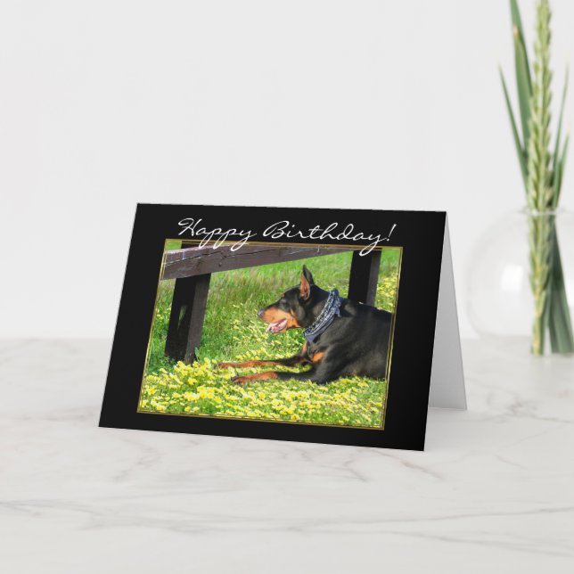 Tarjeta de felicitación del Pinscher del Doberman (Anverso)