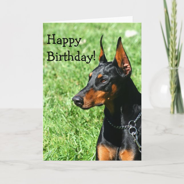 Tarjeta de felicitación del Pinscher del Doberman (Anverso)