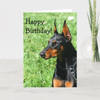 Tarjeta de felicitación del Pinscher del Doberman