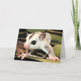 Tarjeta de felicitación del planeador del azúcar