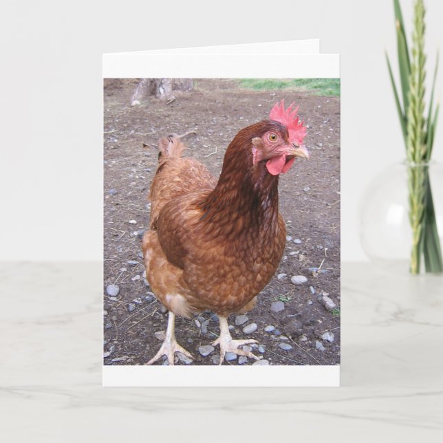 Tarjeta de felicitación del pollo (Anverso)