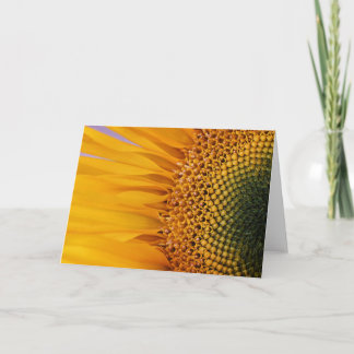 Tarjeta de felicitación del primer del girasol