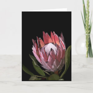 Tarjeta de felicitación del Protea