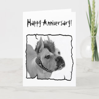 Tarjeta de felicitación del punk Boxer Feliz Anive