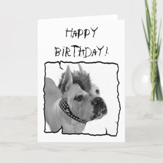 Tarjeta de felicitación del Punk del Boxer Blanco 