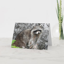 Tarjeta de felicitación del Racoon, interior en