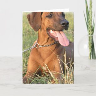 Tarjeta de felicitación del rescate de Rhodesian