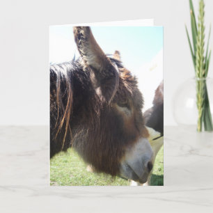 Tarjeta de felicitación del retrato del burro