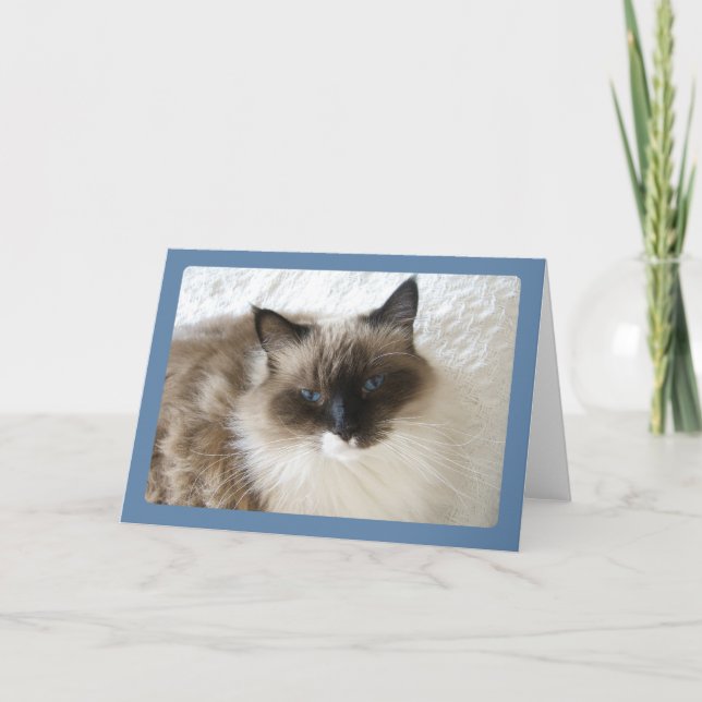 Tarjeta de felicitación del retrato del gato de (Anverso)