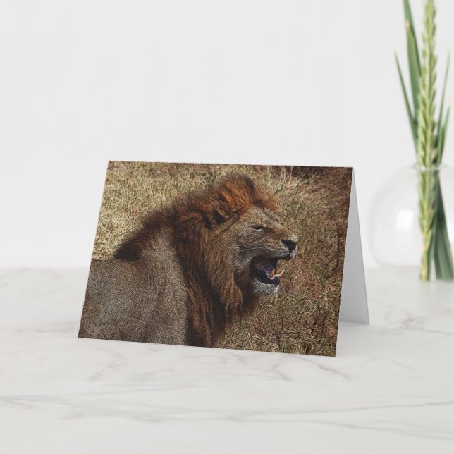 Tarjeta de felicitación del rugido de un león (Anverso)