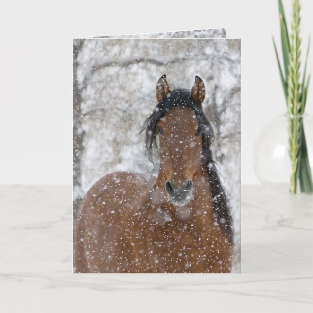 Tarjeta de felicitación del semental de nieve (Anverso)