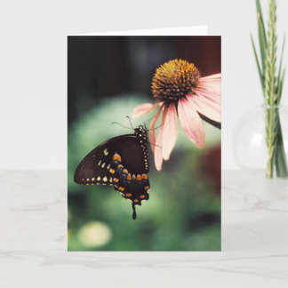 Tarjeta de felicitación del Sipper del Echinacea