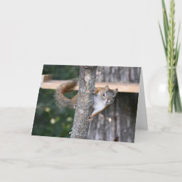 Tarjeta de felicitación del Sr. Bickles