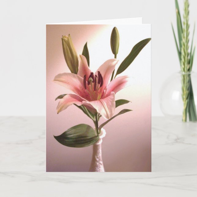 Tarjeta de felicitación del Stargazer (Anverso)