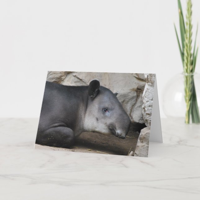 Tarjeta de felicitación del Tapir de Baird (Anverso)