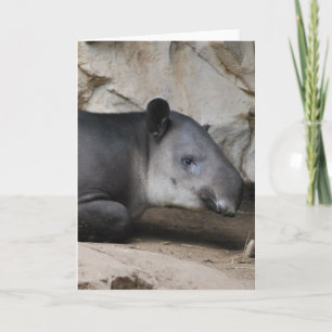 Tarjeta de felicitación del Tapir de Baird