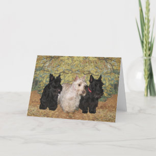 Tarjeta de felicitación del Terrier Escocés