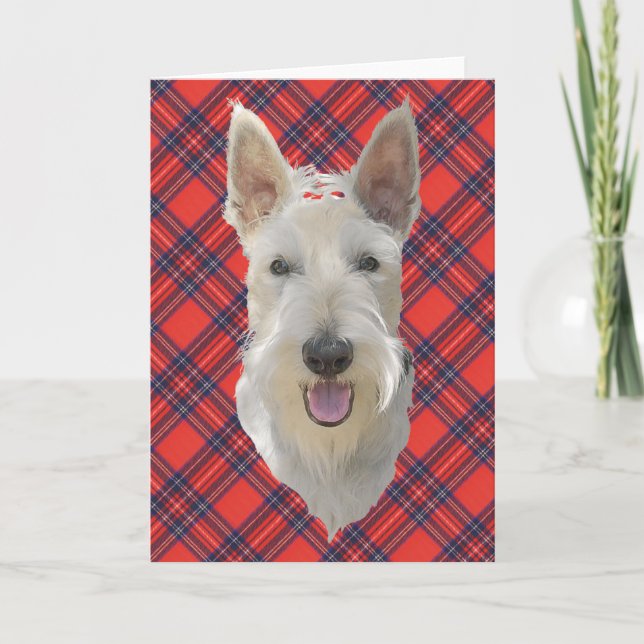 Tarjeta de felicitación del Terrier Escocés (Anverso)