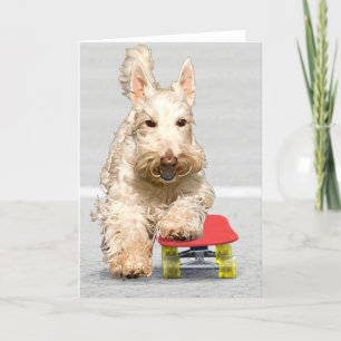 Tarjeta de felicitación del Terrier Escocés en mon