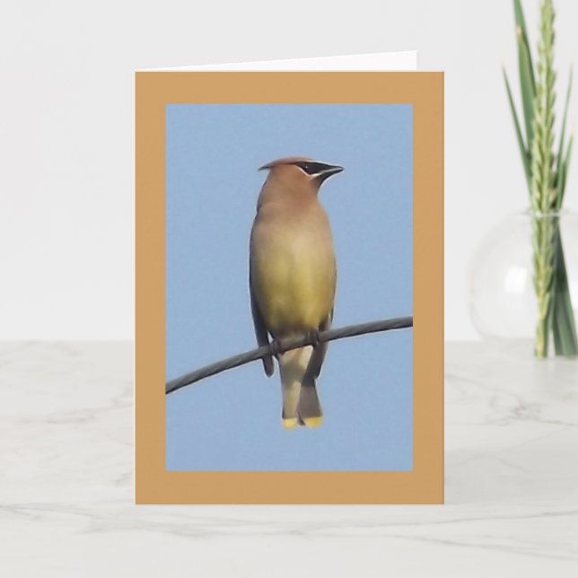 Tarjeta de felicitación del Waxwing de cedro (Anverso)