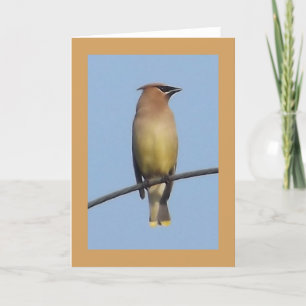 Tarjeta de felicitación del Waxwing de cedro