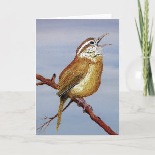 Tarjeta de felicitación del Wren de Carolina