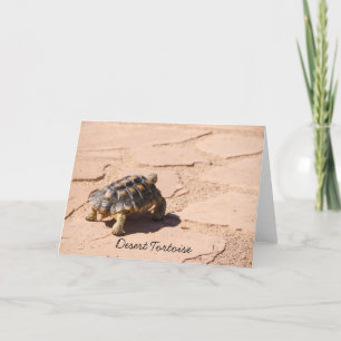 Tarjeta de felicitación Desert Tortoise Blank
