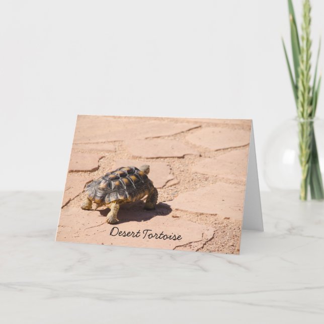 Tarjeta de felicitación Desert Tortoise Blank (Anverso)