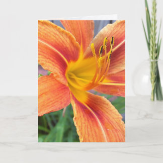 Tarjeta de felicitación diurna del naranja