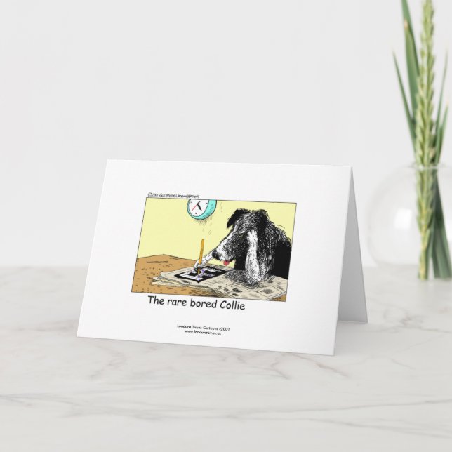 Tarjeta de Felicitación Divertida de Border Collie (Anverso)