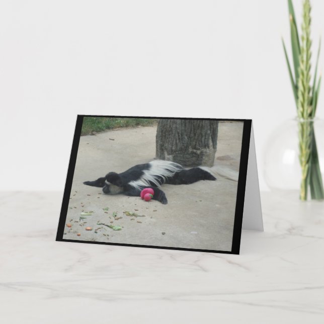 Tarjeta de felicitación divertida del mono (Anverso)