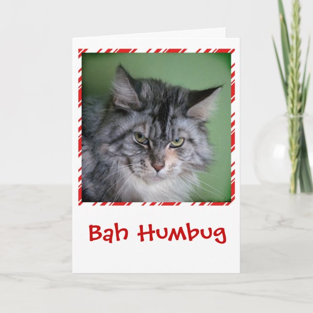 Tarjeta de felicitación divertida del navidad del (Anverso)
