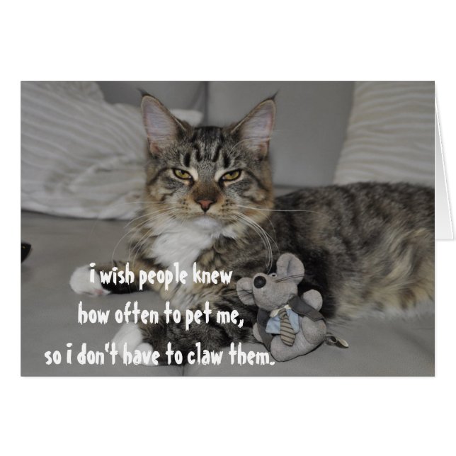 Tarjeta de felicitación divertida para gato enojad (Anverso (Horizontal))