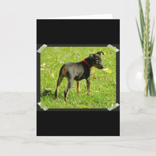 Tarjeta de felicitación Doberman Puppies