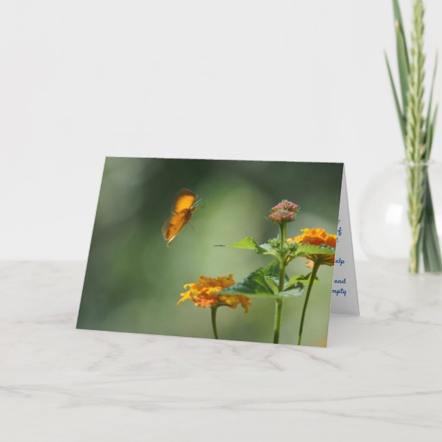 Tarjeta de felicitación doblada (Anverso)