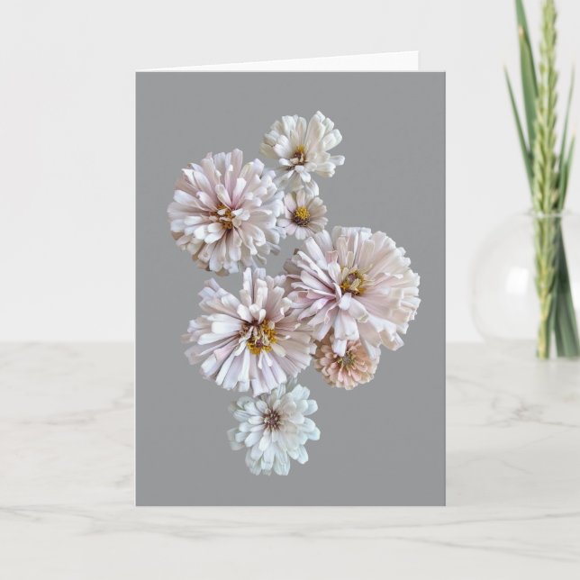 Tarjeta de felicitación doblada Blush Zinnia (Anverso)