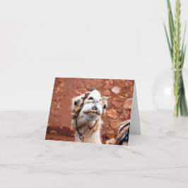 Tarjeta de felicitación doblada - Camello en Marru