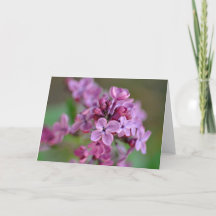 Tarjeta de felicitación doblada con fotografía de