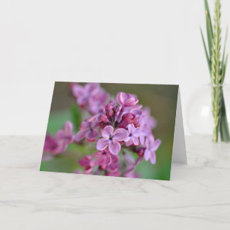 Tarjeta de felicitación doblada con fotografía de