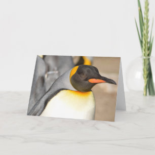 Tarjeta de Felicitación Doblada de PINGÜINO