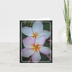 Tarjeta de felicitación doblada de Plumeria Doble 
