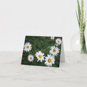 Tarjeta de felicitación doblada de Summer Daisies 