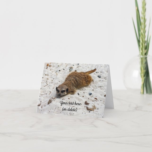 Tarjeta de felicitación doblada de suricata relaja (Anverso)