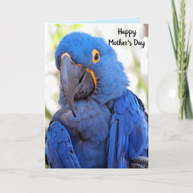 Tarjeta de felicitación doblada del Día de la Madr (Anverso)