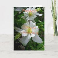 Tarjeta de felicitación doblada para el pastor en