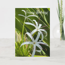 Tarjeta de Felicitación Doble
