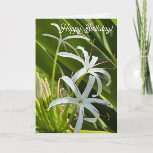Tarjeta de Felicitación Doble